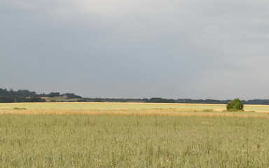 Obraz premium Countryside in northern Poland Kashubia.