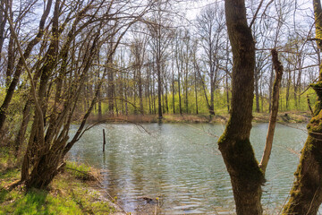 Confluence of the Lech into the Danube near Marxheim in Bavaria on a sunny spring day