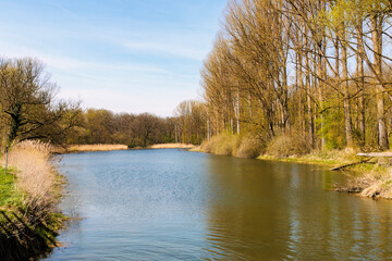 Confluence of the Lech into the Danube near Marxheim in Bavaria on a sunny spring day
