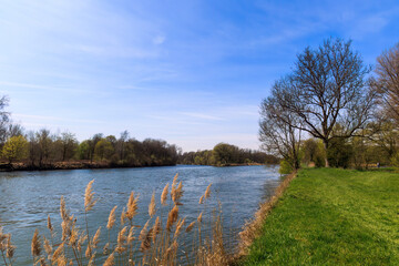 Confluence of the Lech into the Danube near Marxheim in Bavaria on a sunny spring day