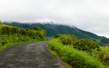 Fototapeta na wymiar Road across mountain area, Sao Miguel, Azores islands.