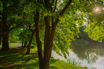 Nakajimakoen Park, a city park which contain many important buildings in Chuo-ku, Sapporo, Ishikari Subprefecture, Hokkaido, Japan