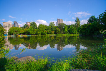 Fototapeta na wymiar Nakajimakoen Park, a city park which contain many important buildings in Chuo-ku, Sapporo, Ishikari Subprefecture, Hokkaido, Japan