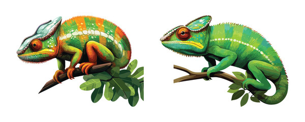 Set of chameleon lizards with tree branches, cartoon reptile, vector illustration isolated on white background