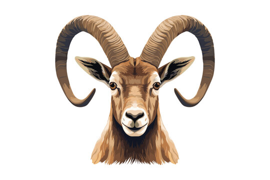 goat ibex, mountain wildlife animal, vector illustration isolated on white background