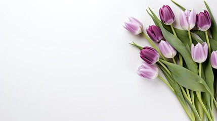 essence of spring. a bouquet of white and violet tulip flowers on a white table background.