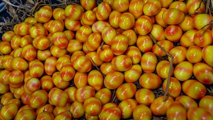 Yellow and red Easter eggs. Paschal eggs. Egg of Easter.
