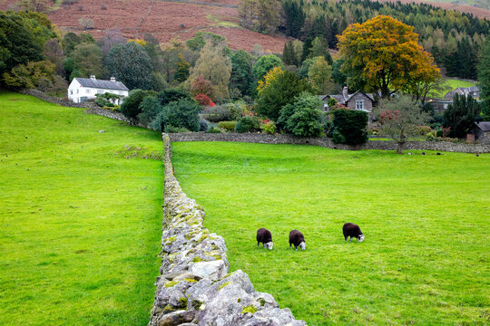 wall leading to the beautiful homes and the trees in grasmere