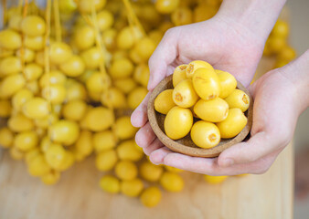 Top of hands holding fresh dates fruit in copy space concept.