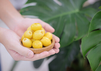 Close up hand holding fresh dates fruit in copy space concept.