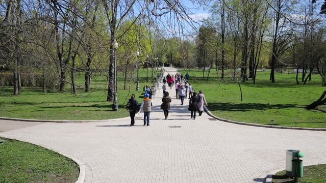 A group of children walking in the park on a sunny spring day