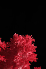 Macro image red salt crystal on black background.