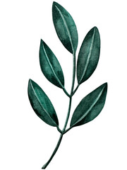 Watercolor green leaves elements. Collection botanical isolated on white background suitable for Wedding Invitation, save the date, thank you, or greeting card.