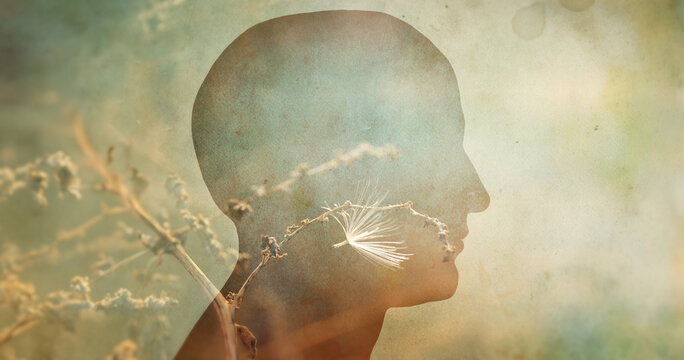 Silhouette of a human head and fluff on a branch as a symbol. Psychiatry, psychology, concept background. Overlay effect on old paper texture.