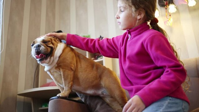 Pretty girl strokes english bulldog on armchair in room