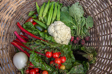 Fresh vegetable mix background. Organic vegetables