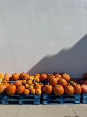Pumpkins sitting on pallets along a wall with copy space on top