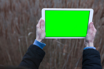 Female Environment Researcher  Hands Taking a Photo with a Green Screen Tablet in Nature