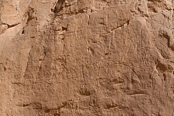 Rock art from the Neolithic period, depictions are buffalo, in Tadrart Rouge, Tassili N Ajjer National Park. Sahara, Algeria, Africa. - obrazy, fototapety, plakaty