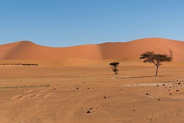 Dunes of Ouan Zaoutan, sand dunes in Tadrart Rouge, Tassili n Ajjer National Park. Sahara, Algeria, Africa.