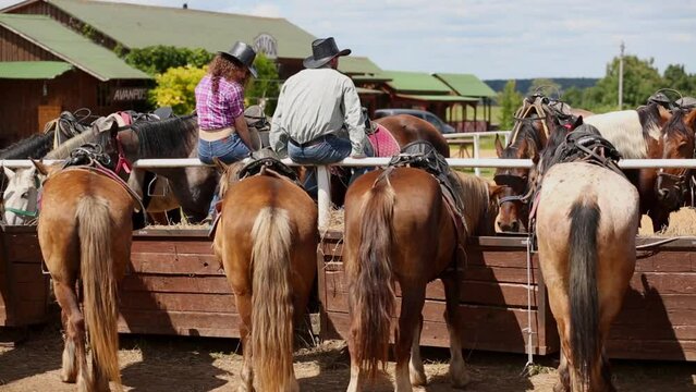 Man and woman sit on metal fence at paddock among horses