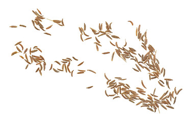 Dried of caraway seeds isolated on a white background, view from above. Caraway seeds.