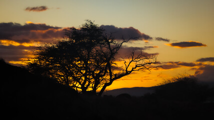 Road to Hana Maui Hawaii Sunset