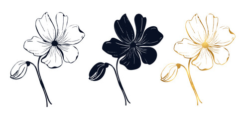 Obraz premium Poppy sketch flower set for design of card or invite, golden line art flower. Vector hand drawn illustration for wedding card or invite.