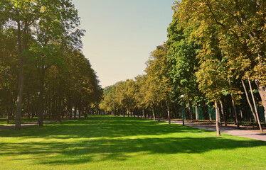 Green and orange trees in beautiful park. Floral and natural autumn landscape