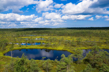 Wetlands of the Ķemeri National Park, Latvia