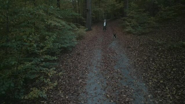 Girl in The woods with a dog