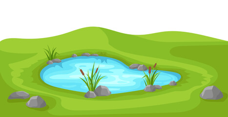 Pond on green lawn with reeds. Colorful blue lake surrounded by grass and stones with cartoon landscape vector design