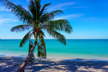 Beach in southeast asia. Palm trees and blue sea, heavenly place