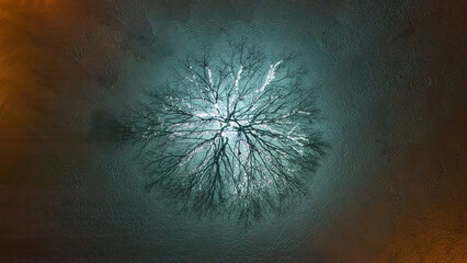 Aerial photo of a snow-covered tree in a park illuminated by a white lamps, capturing the winter...