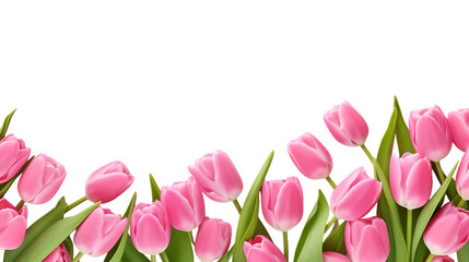 Pink tulip border banner isolated on white background png image - Powered by Adobe