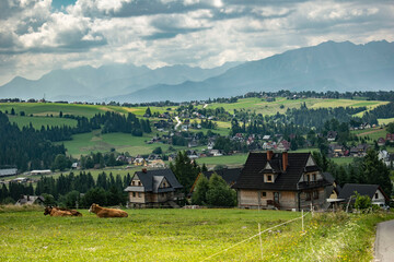 Polish highland village, meadows and mountains