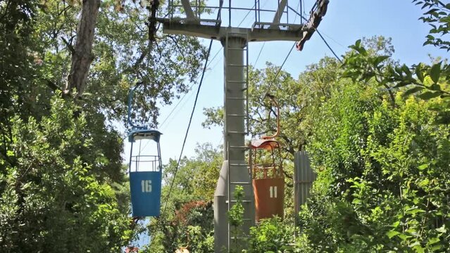 Colored funicular wagons move through green trees at summer day