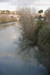 the river in the morning