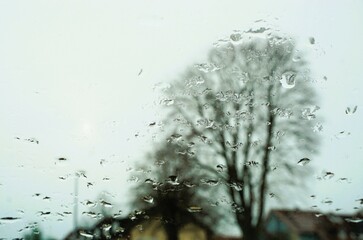 Abstraktes Motiv mit Regentropfenmuster vor hohem Baum, Häusern und weißem Himmel bei Regen, Frost und Kälte am Morgen im Winter