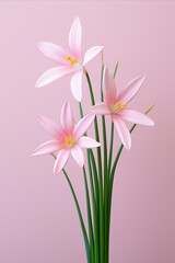Naklejka premium Elegant star of flower stem on pastel color backgroundaesthetic floral simplicity composition