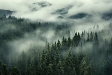 Peel and stick wall murals Forest in fog Misty Mountains and Trees