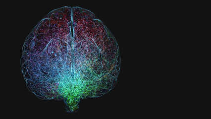 Signal and impulses in the neuronal network of a color-divided human brain - 3d illustration