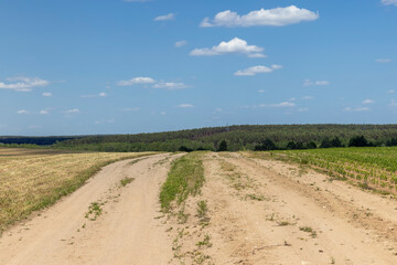sandy road in the field in the summer