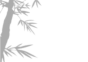 Abstract Bamboo Shadow on White Canvas, Soft shadows of bamboo leaves gently cast upon a white surface, creating an abstract and delicate visual texture Concept, Isolated Backgrounds.