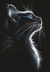 illuminated cat drawing black background