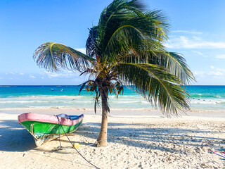 Wooden boat and palm tree on paradisiacal beach