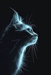illuminated cat drawing black background