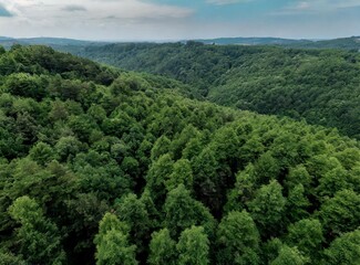Fototapeta na wymiar Aerial view of leafy trees on the mountains