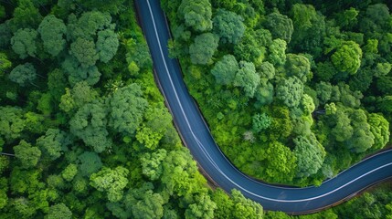 An aerial view of a curvy road slicing through a lush green landscape, illustrating nature's interface with human-made infrastructure