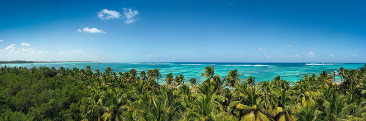 Wild tropical beach with coconut palm trees and turquoise caribbean sea. travel destination. Aerial...